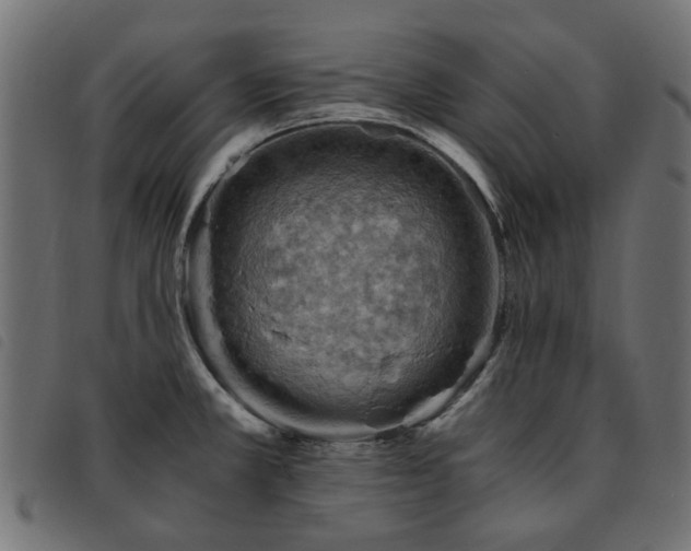 X0000093591381200710151155