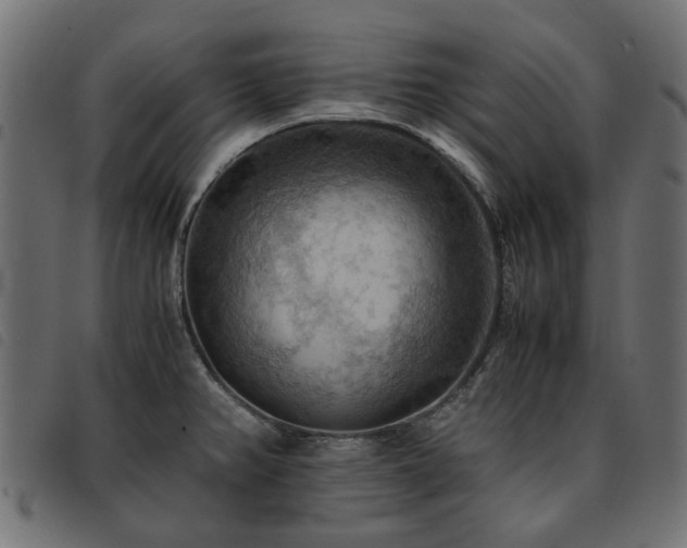 X0000093591382200710151155
