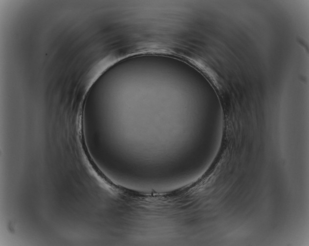 X0000093591383200710151155