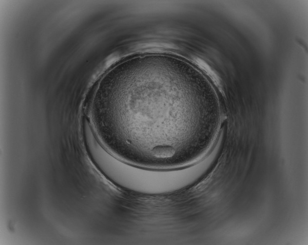 X0000093591384200710151155