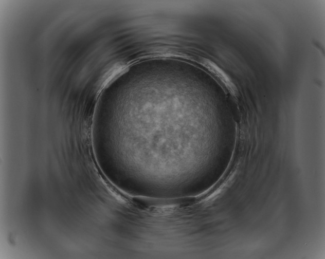X0000093591385200710151155