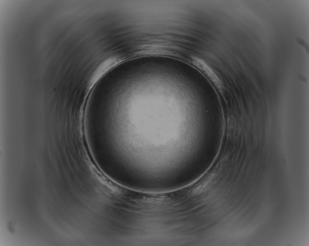 X0000093591386200710151155