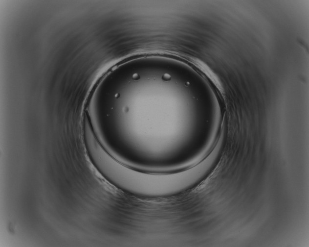 X0000093591388200710151155