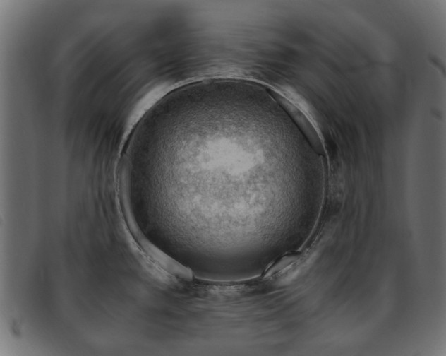 X0000093591389200710151155