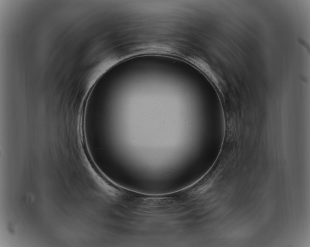 X0000093591391200710151155