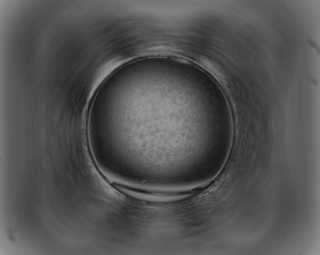 X0000093591392200710151155