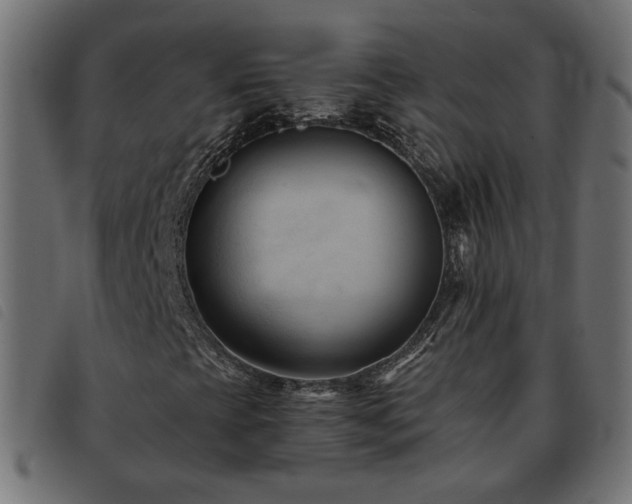 X0000093591393200710151155