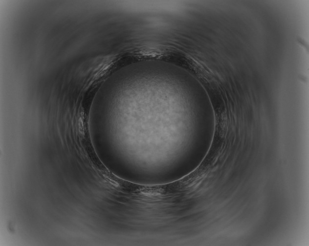 X0000093591394200710151155