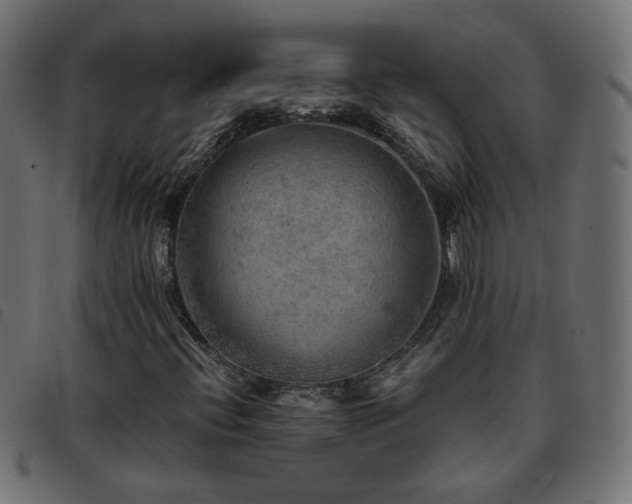 X0000093591396200710151155