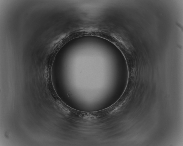 X0000093591398200710151155