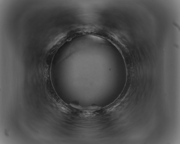 X0000093591399200710151155