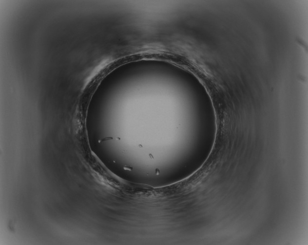 X0000093591400200710151155