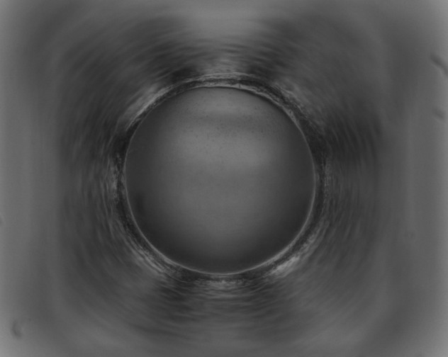 X0000093591401200710151155