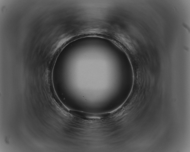 X0000093591404200710151155