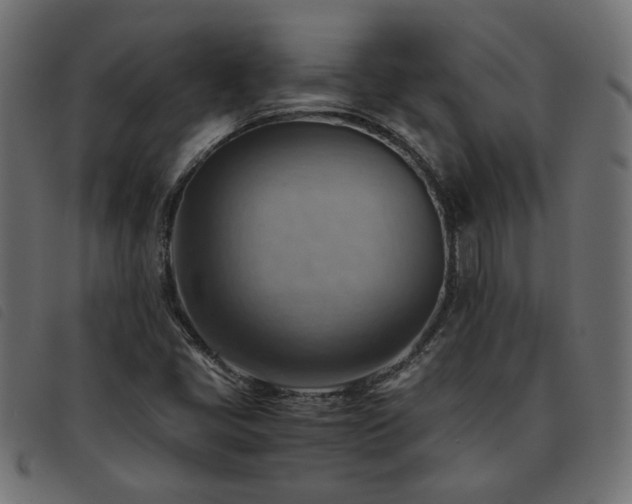 X0000093591405200710151155