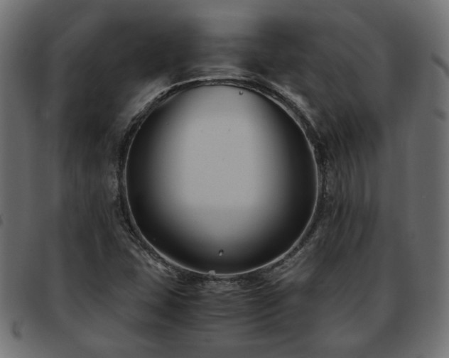X0000093591407200710151155