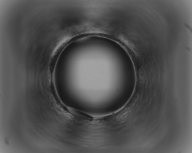 X0000093591408200710151155