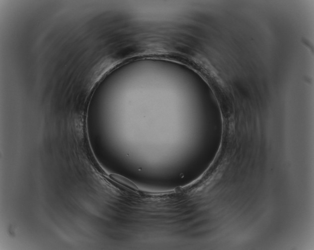 X0000093591409200710151155