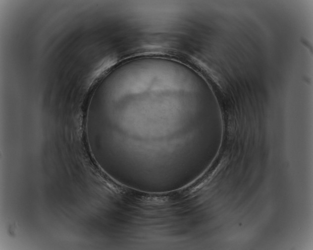 X0000093591411200710151155