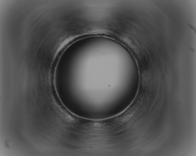 X0000093591412200710151155