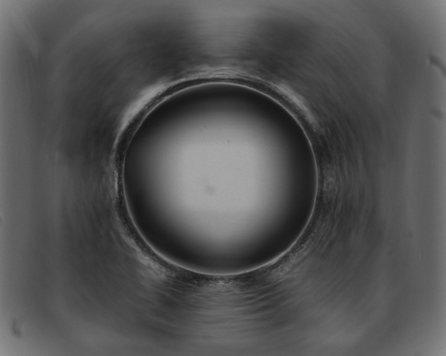 X0000093591414200710151155