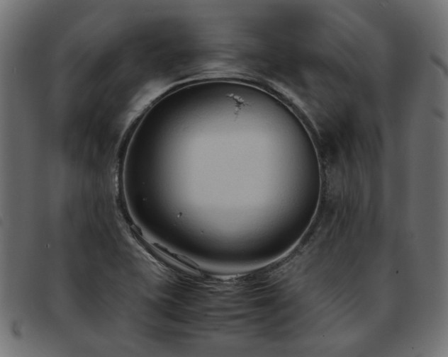 X0000093591415200710151155