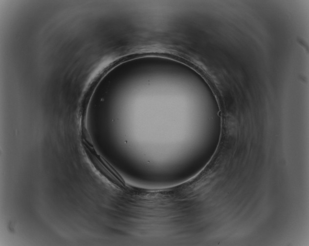 X0000093591416200710151155