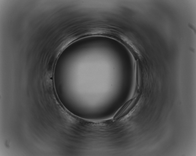 X0000093591417200710151155
