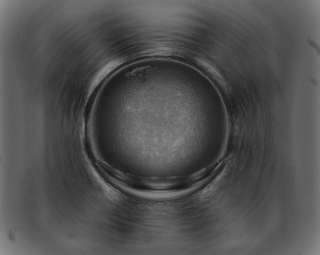 X0000093591418200710151155