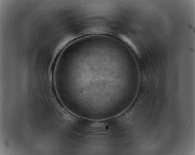 X0000093591419200710151155