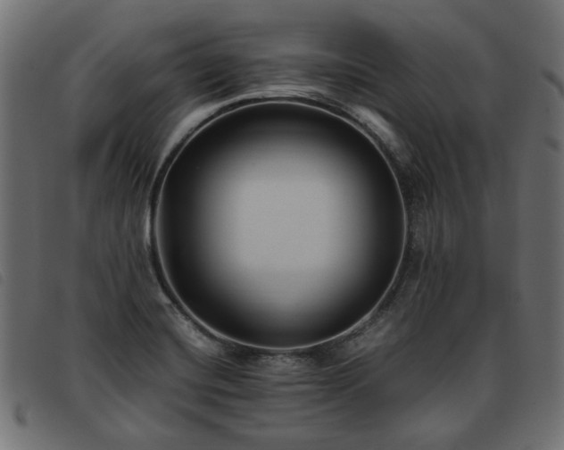 X0000093591420200710151155