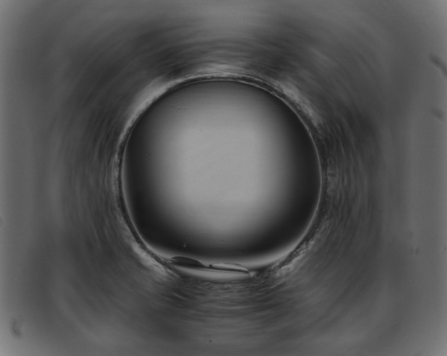 X0000093591421200710151155