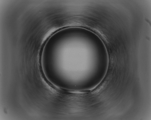 X0000093591422200710151155