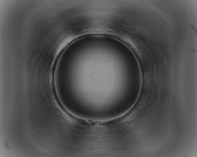 X0000093591424200710151155