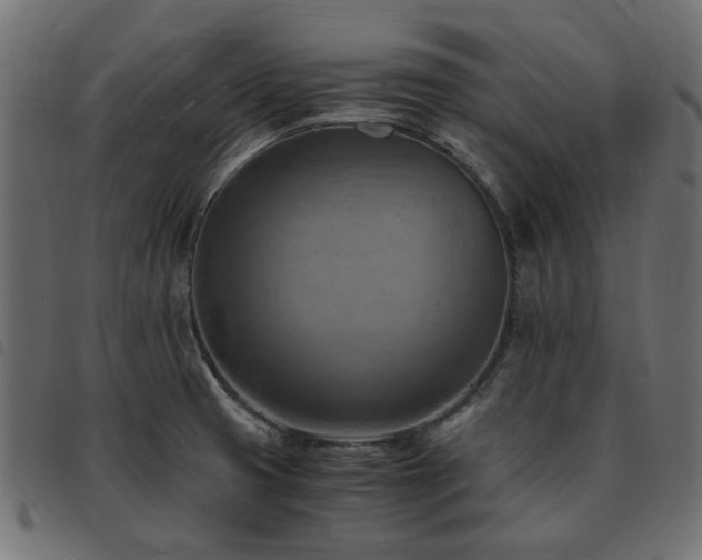 X0000093591425200710151155
