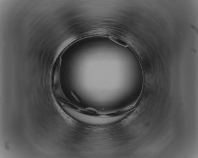X0000093591426200710151155