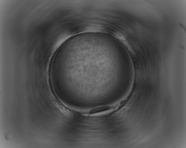 X0000093591427200710151155