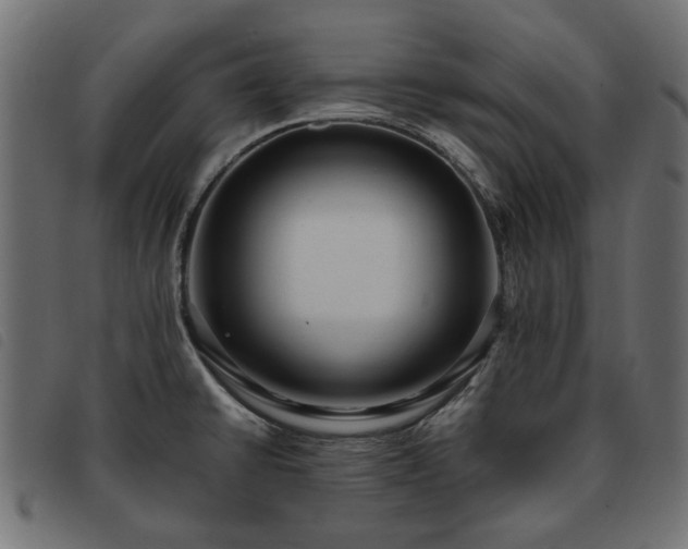 X0000093591430200710151155