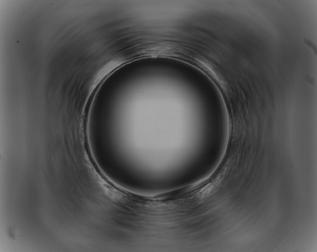 X0000093591434200710151155