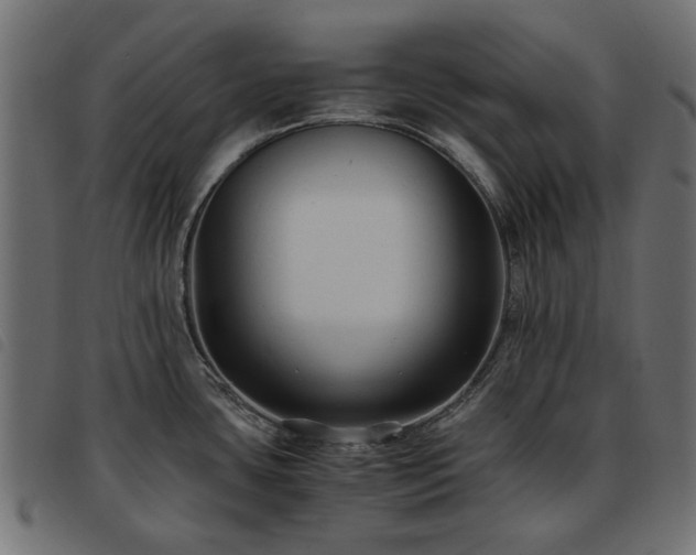 X0000093591435200710151155