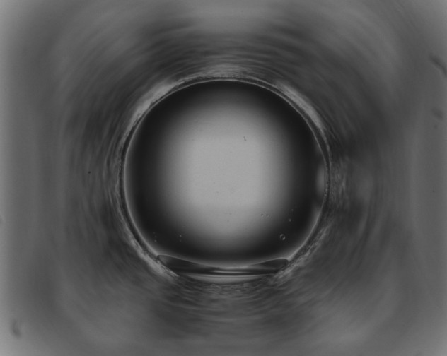 X0000093591437200710151155
