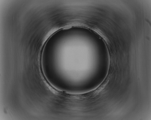 X0000093591438200710151155