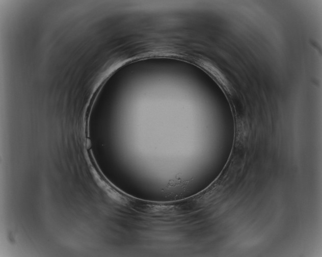 X0000093591439200710151155