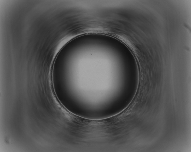 X0000093591440200710151155