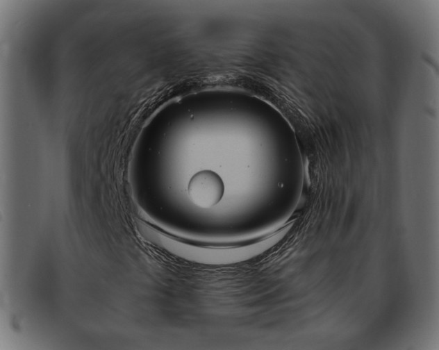 X0000093591441200710151155