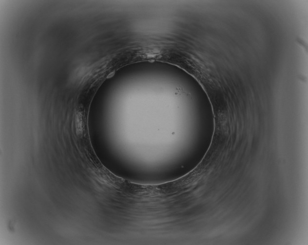 X0000093591442200710151155