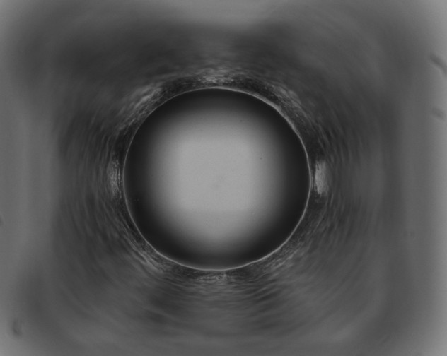 X0000093591444200710151155