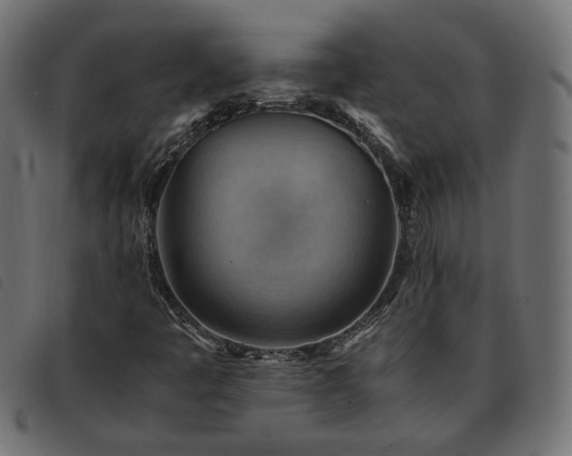 X0000093591445200710151155