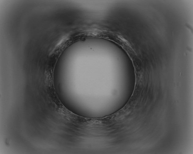 X0000093591446200710151155