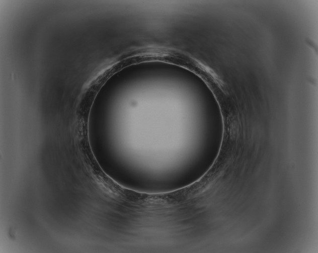 X0000093591448200710151155